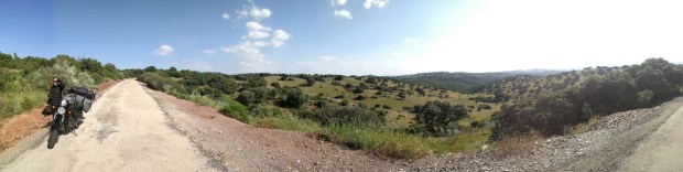 wp-1463781530740 image